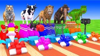 Choose The Right Gift Box Run Game With Cow Elephant Lion Tiger Dinosaur Wild Animals Games