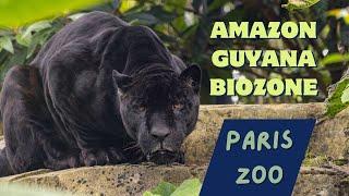 Tour of the Amazon Guyana Biozone at Paris Zoological Park