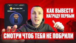 Hamster Как забрать профит первым / Правильно подготовься к раздаче в Хомяке / Последние обновления