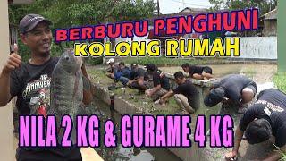 MANCING TIKET SULTAN LAPAK RASKIN !! BORONGAN GURAME KOLONG RUMAH 3 ORANG - 5.3 JUTA