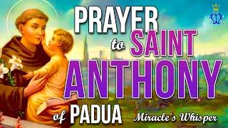  Miracle's Whisper: A Prayer to Saint Anthony