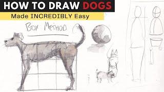 How to Draw a Dog Sketch, Step by Step - The Easiest Way