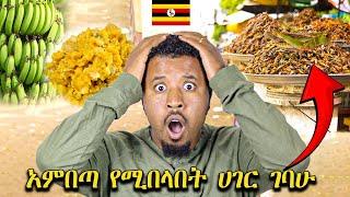 አምበጣ የሚበላበት ሙዝ ገንፎ የሚሆንበት አስገራሚ ሀገር ገባሁ