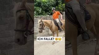 Ich FALLE vom PFERD?  #reiten #jannikfreestyle