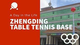 A Day in the Life at Zhengding Table Tennis Base