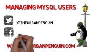 Understanding MySQL Users