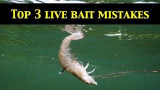 Top 3 LIVE BAIT RIGGING MISTAKES (Underwater Evidence)