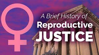 A Brief History of Reproductive Justice