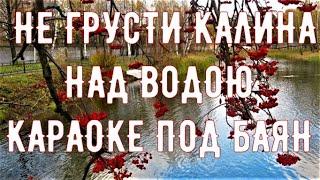 НЕ ГРУСТИ КАЛИНА НАД ВОДОЮ - КАРАОКЕ ПОД БАЯН .ВальЯш !!! текст в описании