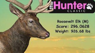 The Hunter Classic | Male Roosevelt Elk Gameplay | Score 296.0628