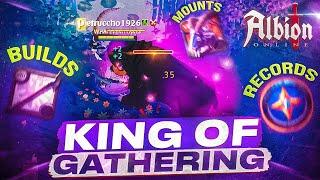 KING OF GATHERING:  BUILDS | MOUNTS | NEW RECORDS | GUIDE  | Albion Online