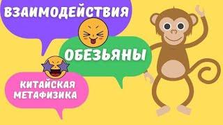 Все взаимодействия земной ветви Обезьяна с другими зверьками в карте бацзы. Столкновения, вред