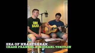 Sea of Heartbreak by Chase Frankel and Michael Tseitlin (Don Gibson Cover)