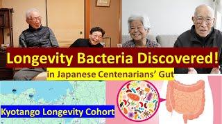 What Is the Longevity Bacteria Discovered in Japanese Centenarians? (The Kyotango Study Explained)