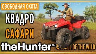 theHunter Call of the Wild #11  - КВАДРО САФАРИ В АФРИКЕ - Свободная Охота