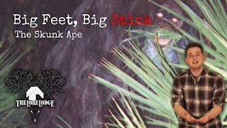 The Skunk Ape of Florida | Folklore