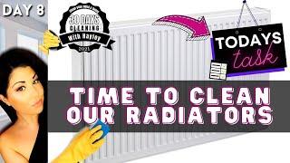 CLEANING RADIATORS: CLEAN ALONG [30 Day Cleaning Challenge DAY 8]