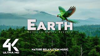 Earth 4K - Relaxing Nature Scenery with Calming Music