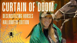 Curtain of DOOM! - Desensitization work with horse - Halloween Edition