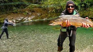 Big Trout & Whio Chicks - Fly Fishing Adventure in New Zealand