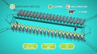 Herringbone - efficient milking routine