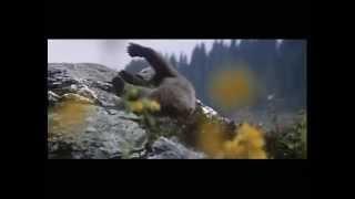 Medvěd (1988) - Trailer