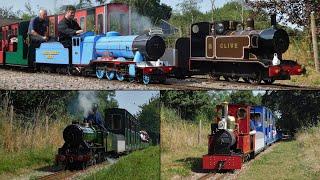 A Splash of Colour at the Eastleigh Lakeside Railway - 17/08/2024