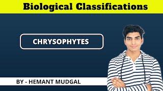 chrysophytes || chrysophytes class 11 || mudgalbiology