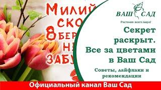 Рекомендации мужчинам по выбору цветов в канун 8-го марта от специалиста Ваш сад