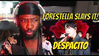 FORESTELLA IS INCREDIBLE! 포레스텔라 - DESPACITO | REACTION