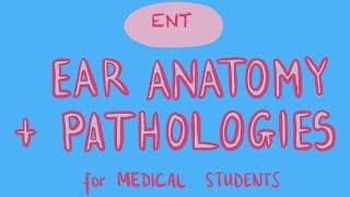 ENT - Ear Anatomy + Pathologies for Medical Students