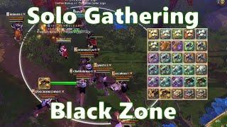 Solo Gathering Black Zone Vol.124 - Albion Online