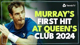 Andy Murray Back On Grass  | Queen's Club 2024 Practice Highlights