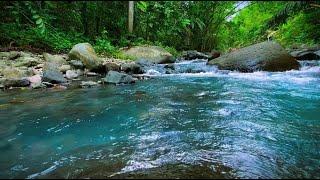 Beautiful Mountain River 10 Hours. Relaxing Nature Sounds for Sleep, Relaxation and Meditation