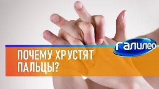 Галилео  Почему хрустят пальцы?