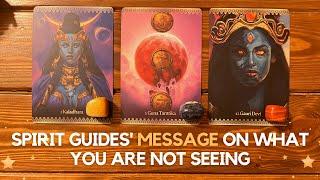 Spirit Guides' message on what you are not seeing  | Pick a Card