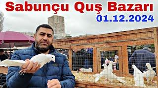 Sabunçu Quş Bazarı 1 dekabr 2024