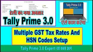 Tally Prime 3.0 New Release | Multiple GST Tax Rates And HSN Codes Setup At Different Levels