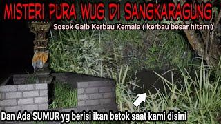 MISTERI PURA WUG | SOSOK KEBO KEMALA | EKSPEDISI NEGAROA TIME