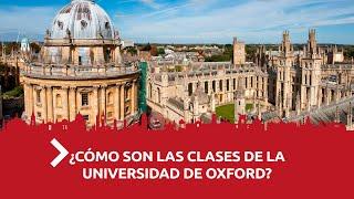 ¿Cómo son las clases de la Universidad de Oxford? | Te lo Cuento de Camino