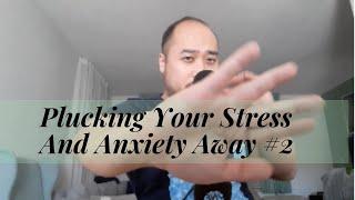 Dutch ASMR - Plucking Away Stress & Anxieties! #2