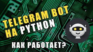 Telegram Bot на Python! Как работает? pyTelegramBotAPI (Эхо-бот)