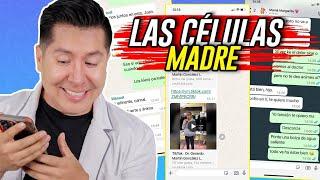 Las CÉLULAS MADRE | #CHISMEdicina | Mr Doctor