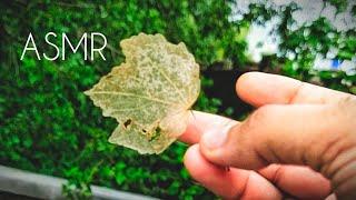 ASMR in outdoor | Asmr under earth | Nature Asmr | Scratching and Tapping