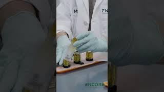 Cannabis testing at Encore Labs