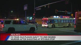 Teen pleads guilty to murder after shooting at RTD bus stop