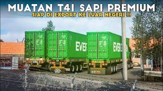 CONVOY Muatan Pupuk Kotoran Ternak Siap EXPORT   Ciawi - Tj. Priok