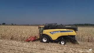 Corn harvest 2019-New Holand cx8070