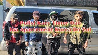 Polisia Kaer Timor Oan Iha Apartement Korea Do Sul || Sei Deportasi Ba Timor 