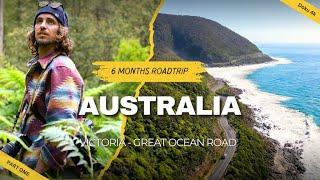 Great Ocean Road Australia  – Highlights, wildlife & insider tips for your dream tour!